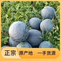 西瓜源头供应正品保障