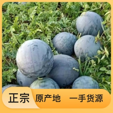 正品保障西瓜超高性价比