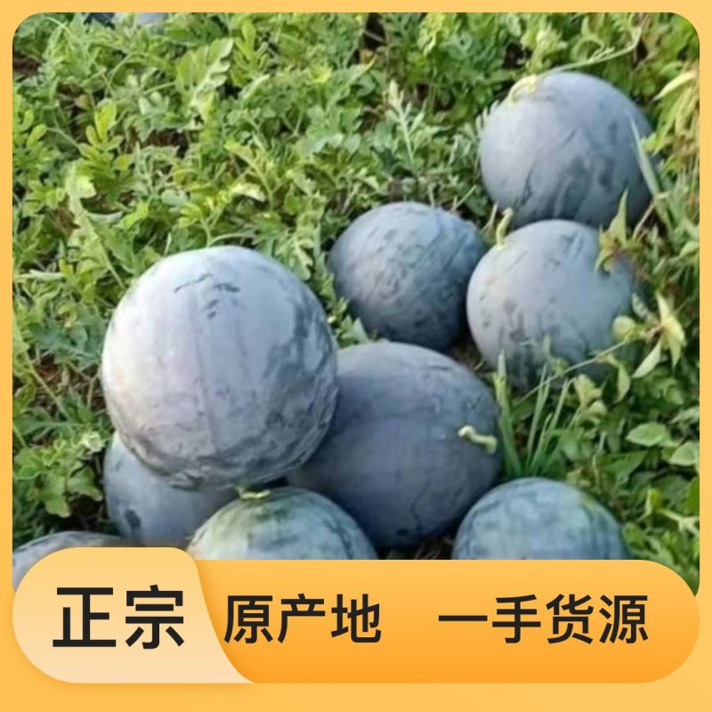 产地直发应季西瓜量大从优