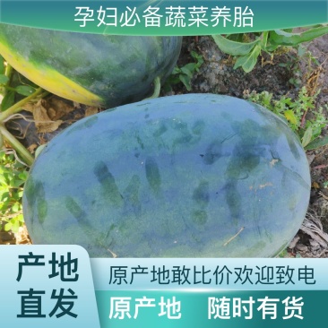西瓜精品全国包邮订多包送