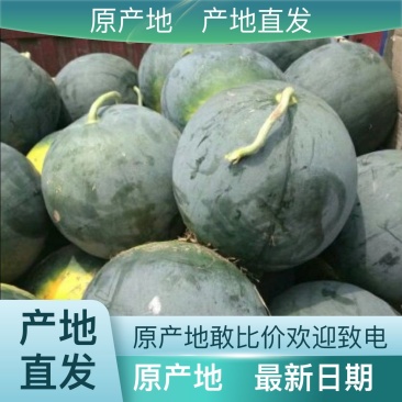 西瓜价格美丽应季