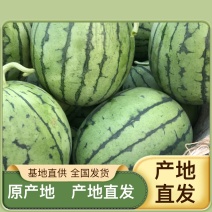 西瓜原产地长期供应老人常备西瓜