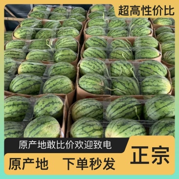西瓜现货秒发量大从优