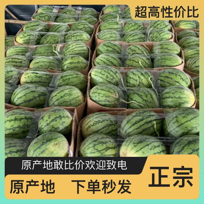西瓜现货秒发量大从优