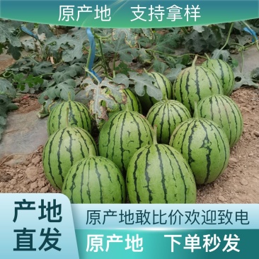 美都西瓜营养多汁价格美丽