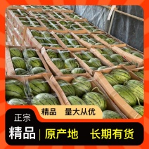 原产地西瓜诚信经营