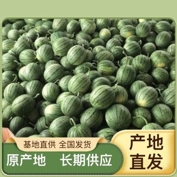 甜度高品质好西瓜正宗保障