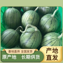规格齐全西瓜随时有货