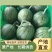 营养多汁西瓜现货秒发24小时在线服务