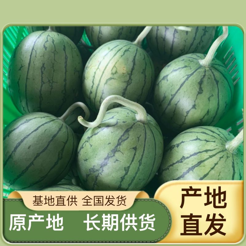 营养多汁西瓜现货秒发24小时在线服务