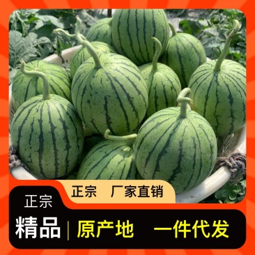 正宗甜度高西瓜下单秒发
