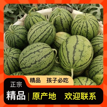 长期供应西瓜电商供货