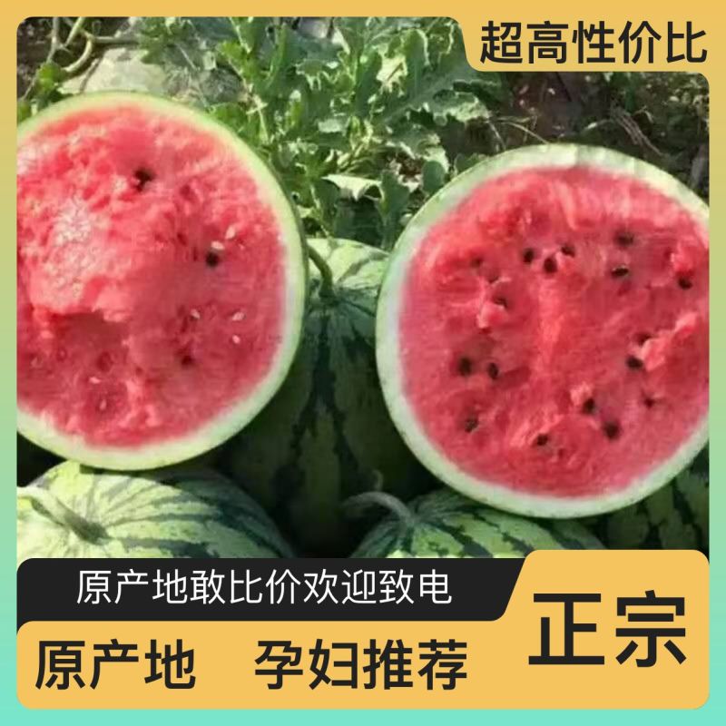 西瓜规格齐全一手货源