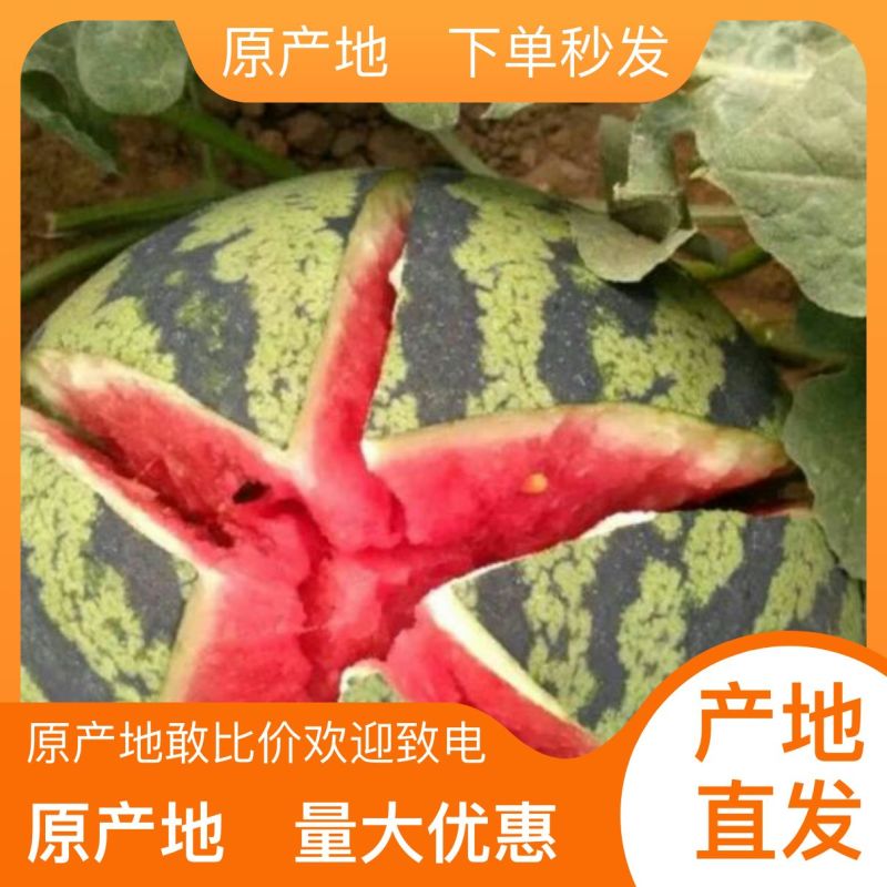正品保障西瓜量大从优