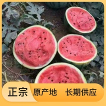 西瓜长期供应价格美丽