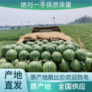 西瓜源头供应应季