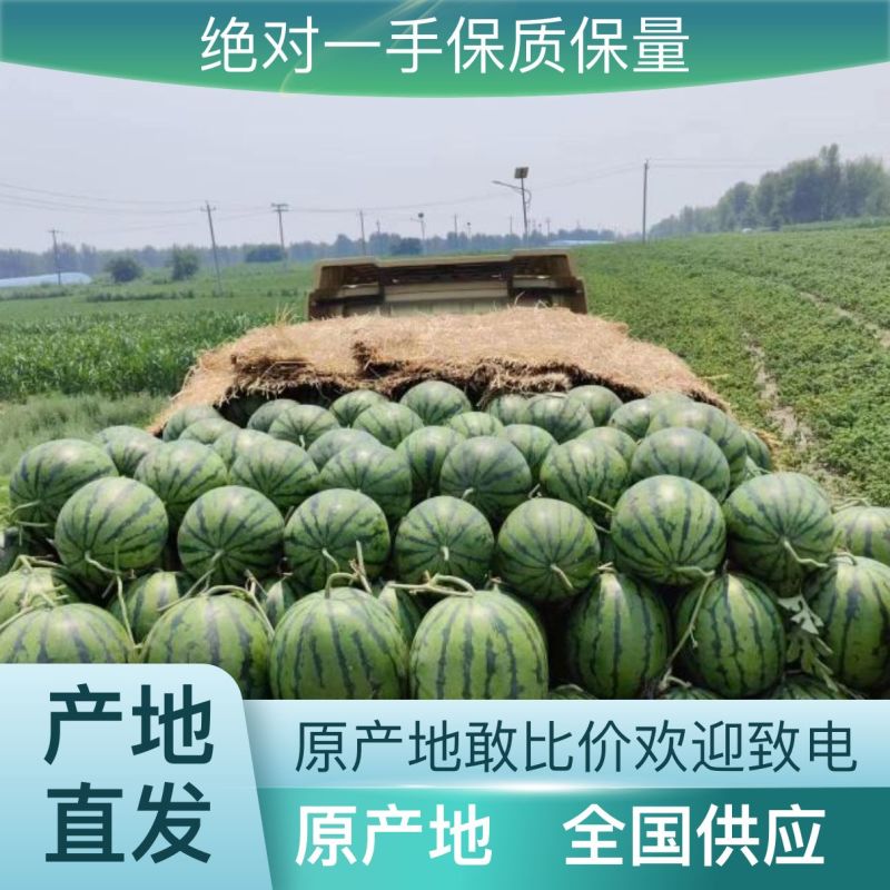 西瓜源头供应应季