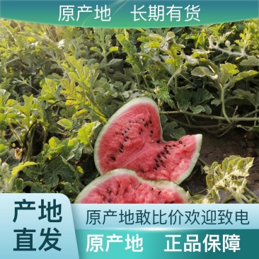 西瓜长期供应价格美丽