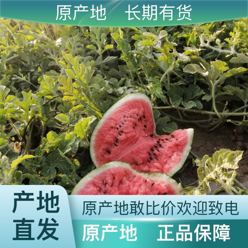 西瓜长期供应价格美丽