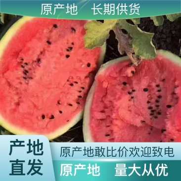 国欣三西瓜，甜王西瓜，京欣西瓜，礼品小吊瓜，一手货源产地直发