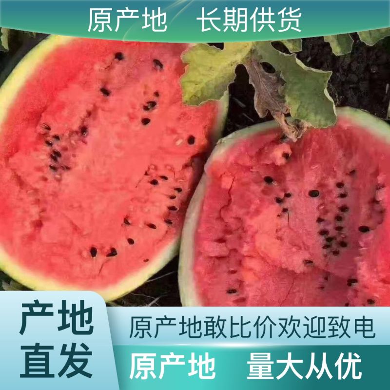 国欣三西瓜，甜王西瓜，京欣西瓜，礼品小吊瓜，一手货源产地直发