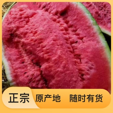 西瓜正宗随时有货