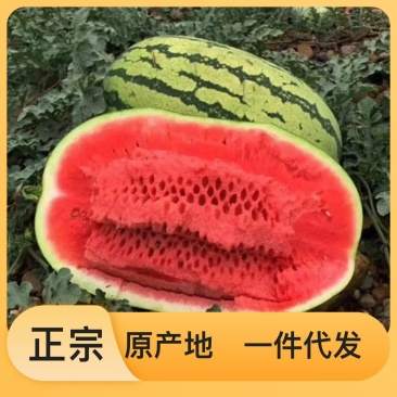 厂家直销西瓜甜度高品质好