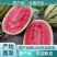 西瓜正品保障诚信经营
