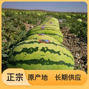 24小时在线服务西瓜随时可聊