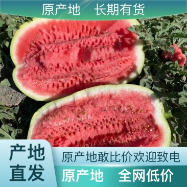 规格齐全西瓜源头供应