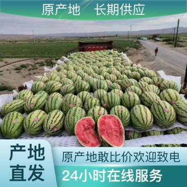 甜王，美都，麒麟瓜大量现货供应