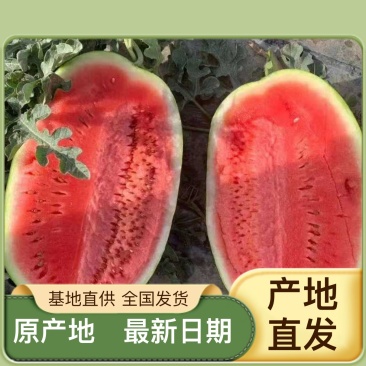 龙卷风西瓜大量上市，头茬西瓜有需要朋友可以合作