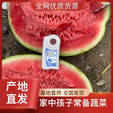 西瓜规格齐全孕妇推荐诚信经营