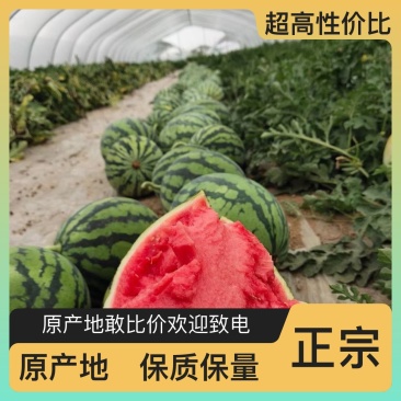 西瓜最新日期正品保障随时可聊