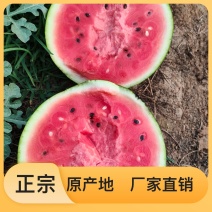应季西瓜超高性价比