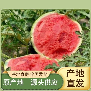 西瓜现货秒发全国包邮