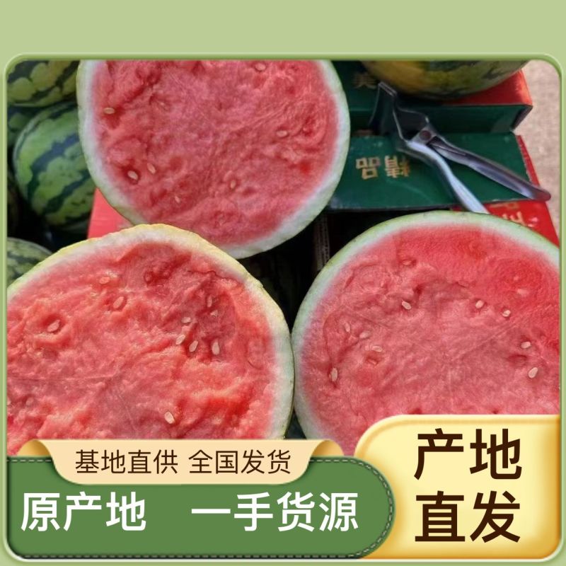 西瓜精品欢迎电话咨询量大优惠