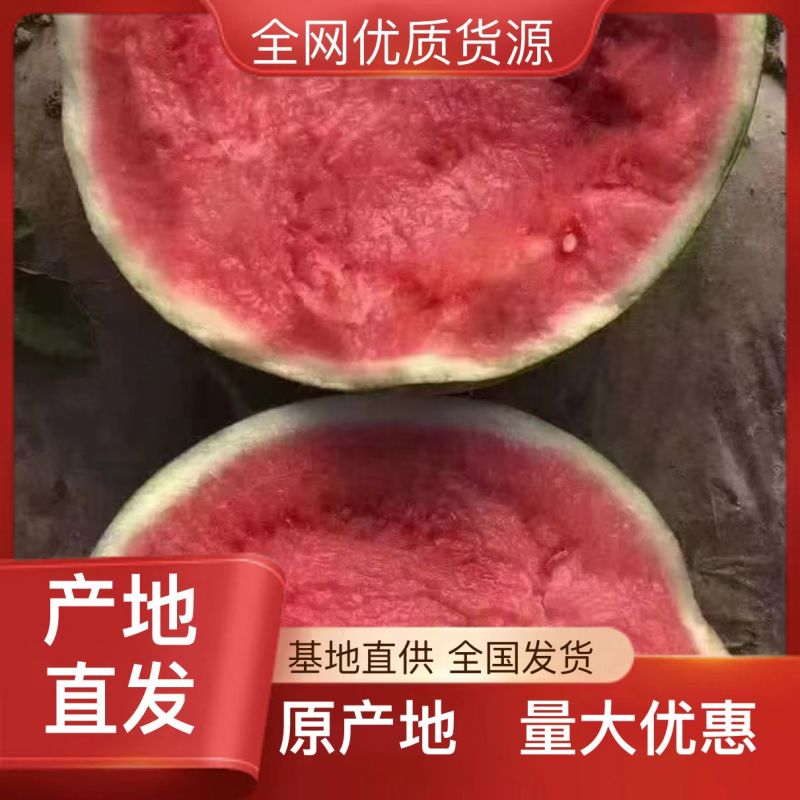 宁夏中卫石头瓜大量上市甜度14➕货好价格便宜全国代发