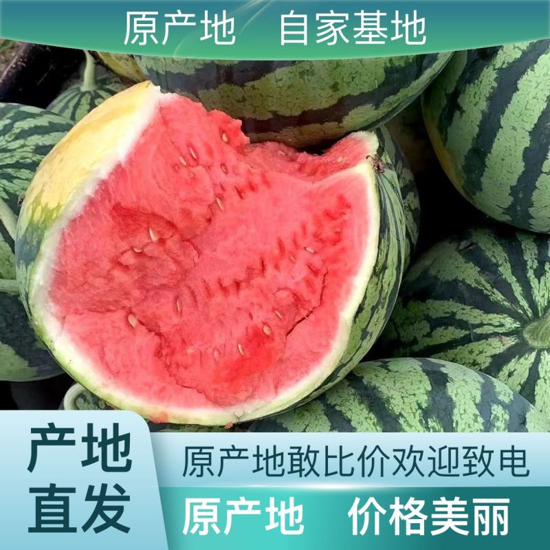 原产地西瓜诚信经营