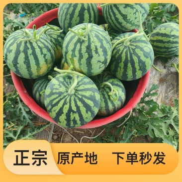 应季西瓜正宗好味道
