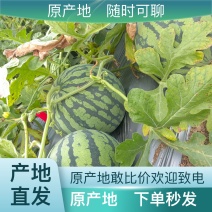 西瓜全国供货下单秒发