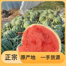 西瓜应季品种随时可聊