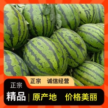 长期供应西瓜营养多汁量大从优