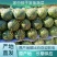 正宗西瓜应季现货秒发