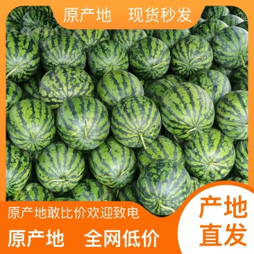 全国包邮正宗西瓜电商供货