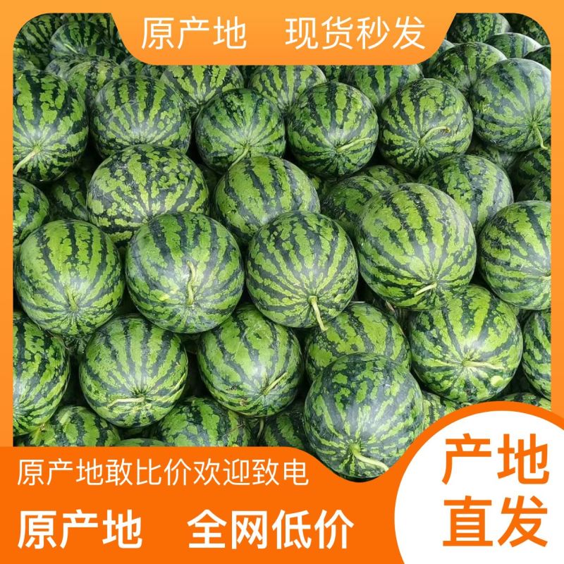 全国包邮正宗西瓜电商供货