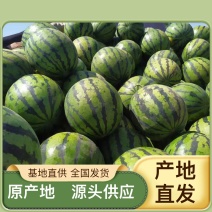西瓜电商供货量大从优