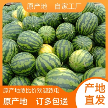西瓜正宗随时有货
