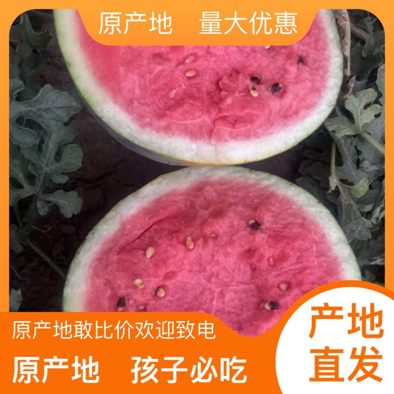 西瓜长期有货超高性价比
