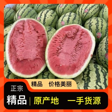 精品西瓜！美都西瓜！无籽美都！全国供应批发